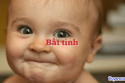 Bất tỉnh