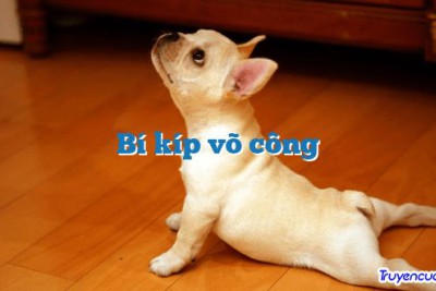 Bí kíp võ công 		