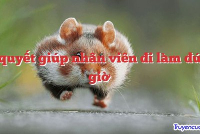 Bí quyết giúp nhân viên đi làm đúng giờ 		