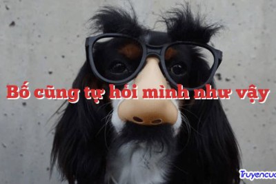 Bố cũng tự hỏi mình như vậy 		