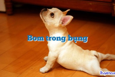 Bom trong bụng 		