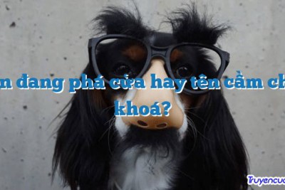 Bọn đang phá cửa hay tên cầm chìa khoá? 		