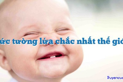 Bức tường lửa chắc nhất thế giới 		