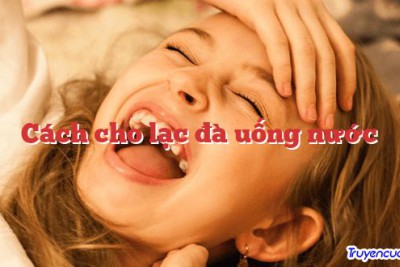 Cách cho lạc đà uống nước 		