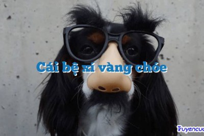 Cái bệ xí vàng chóe 		