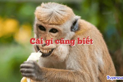 Cái gì cũng biết 		