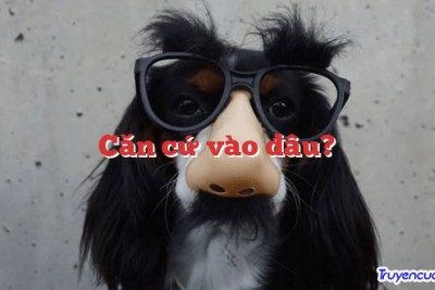 Căn cứ vào đâu? 		