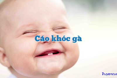 Cáo khóc gà