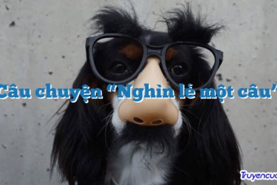Câu chuyện “Nghìn lẻ một câu” 		