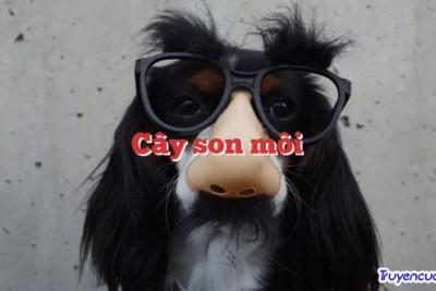 Cây son môi 		