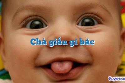 Chả giấu gì bác 		