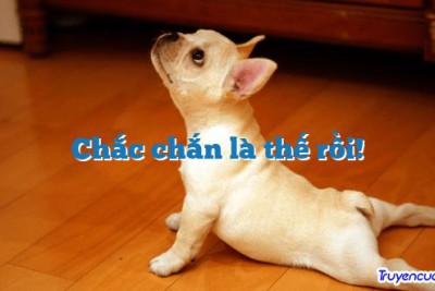 Chắc chắn là thế rồi! 		