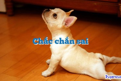 Chắc chắn sai 		