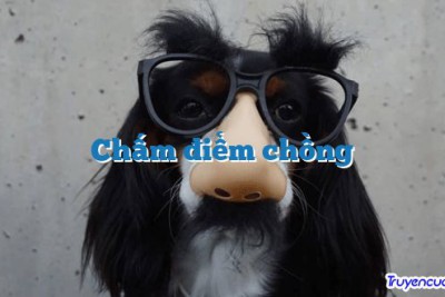 Chấm điểm chồng 		