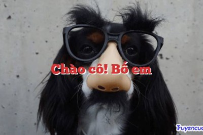 Chào cô! Bố em 		