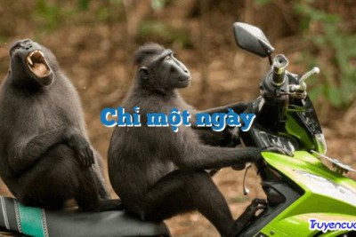Chỉ một ngày 		