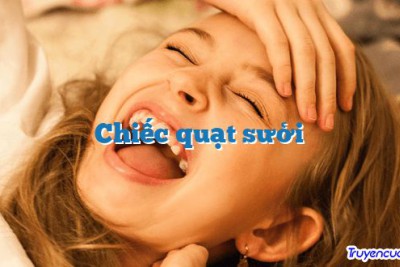 Chiếc quạt sưởi 		