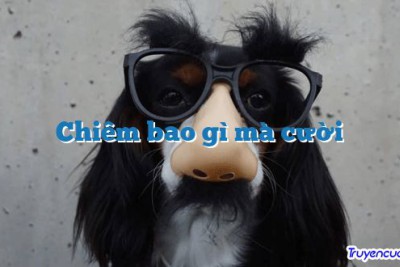 Chiêm bao gì mà cười 		