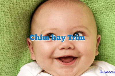 Chim hay Trim