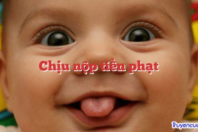 Chịu nộp tiền phạt