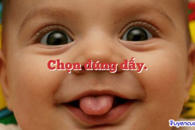 Chọn đúng đấy. 		