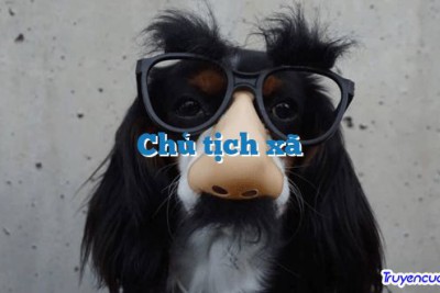 Chủ tịch xã