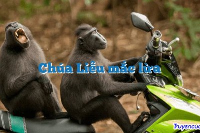 Chúa Liễu mắc lừa 		