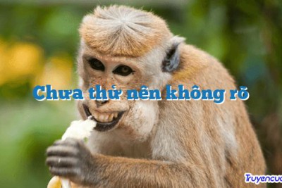 Chưa thử nên không rõ 		
