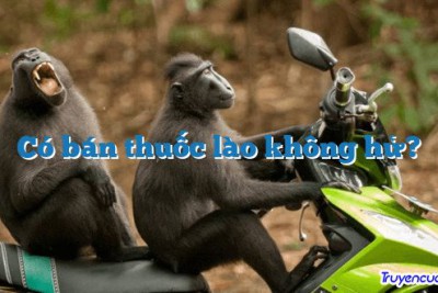 Có bán thuốc lào không hử? 		
