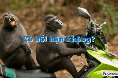 Có hối hận không?