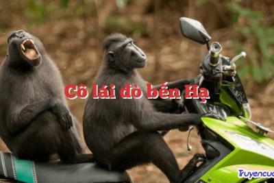 Cô lái đò bến Hạ 		