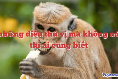 Có những điều thú vị mà không nói ra thì ai cũng biết 		