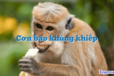 Cơn bão khủng khiếp
