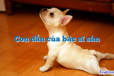 Con dấu của bác sĩ sản 		