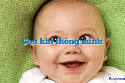 Con khỉ thông minh 		