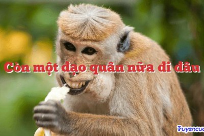 Còn một đạo quân nữa đi đâu 		