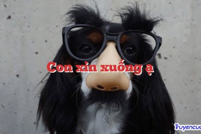 Con xin xuống ạ