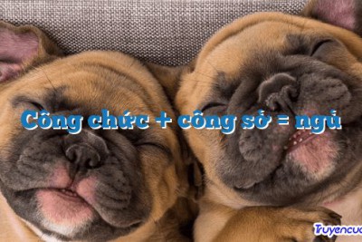 Công chức + công sở = ngủ 		