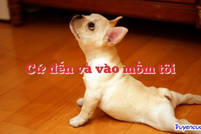 Cứ đến vả vào mồm tôi 		