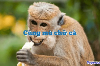 Cùng mù chữ cả 		