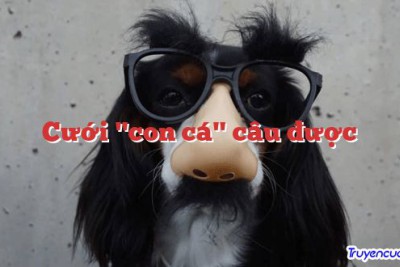 Cưới "con cá" câu được 		