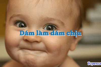 Dám làm dám chịu 		