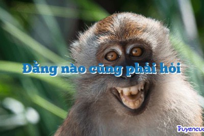 Đằng nào cũng phải hỏi 		