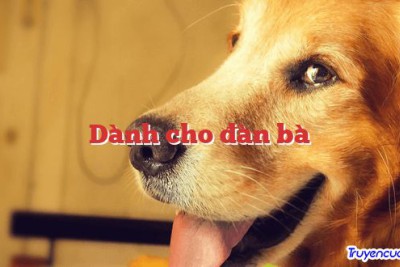 Dành cho đàn bà