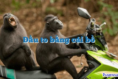 Đầu to bằng cái bồ 		