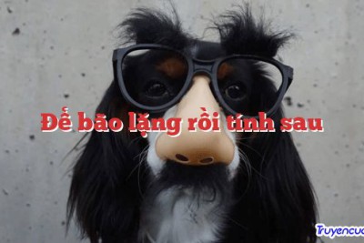 Để bão lặng rồi tính sau 		