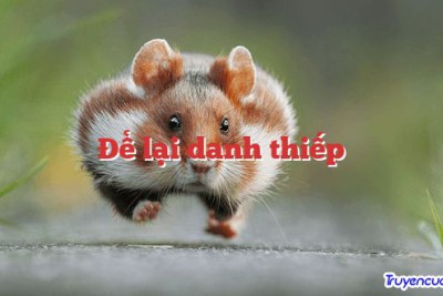 Để lại danh thiếp 		