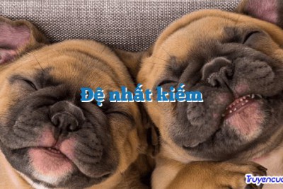 Đệ nhất kiếm