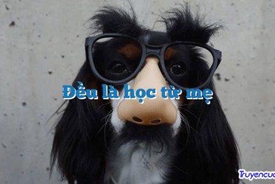Đều là học từ mẹ 		