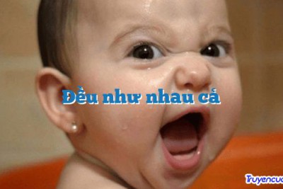 Đều như nhau cả 		